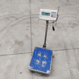 mobile scale Precia